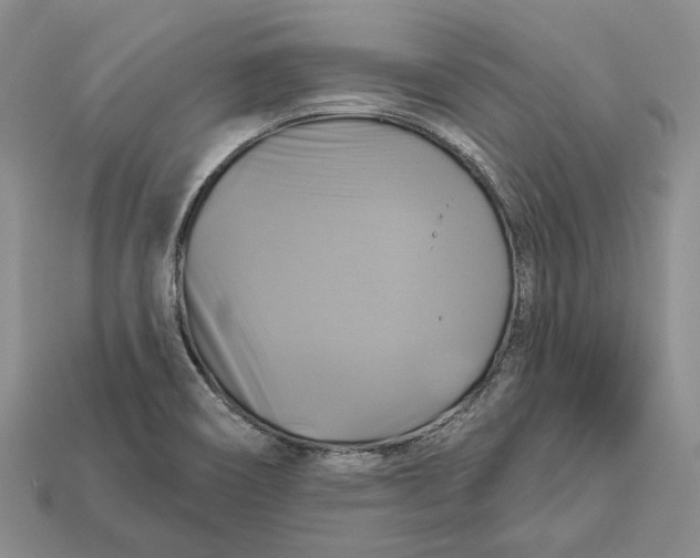 X0000113051466200909241445