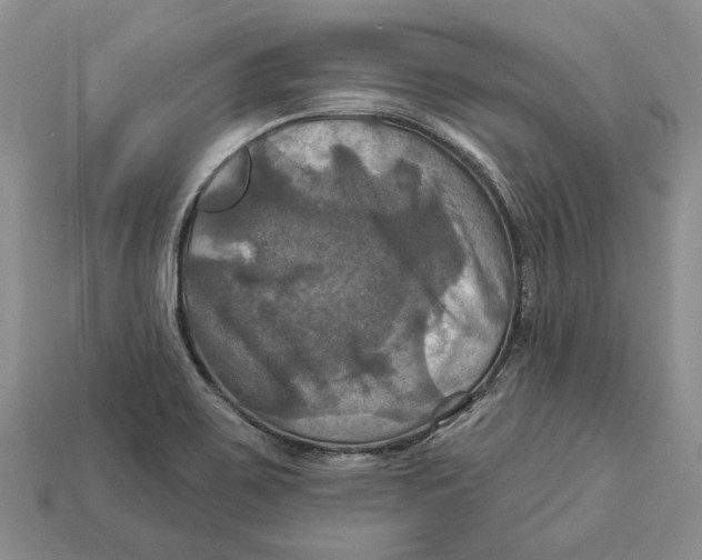 X0000113051467200909241445