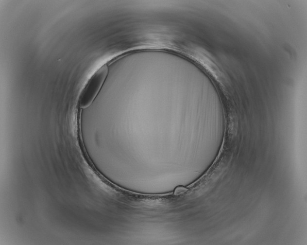 X0000113051468200909241445