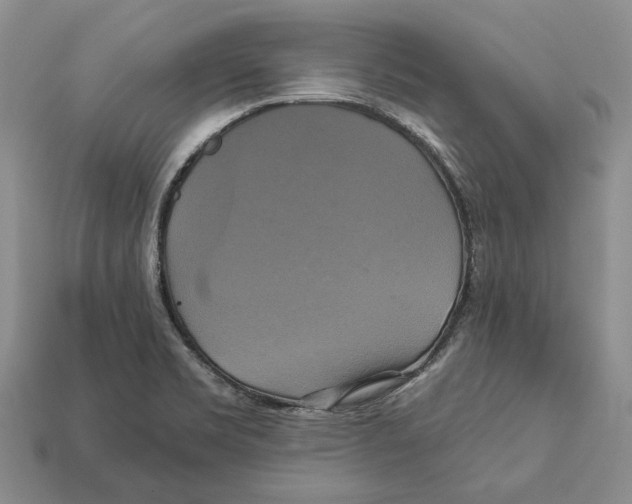 X0000113051469200909241445