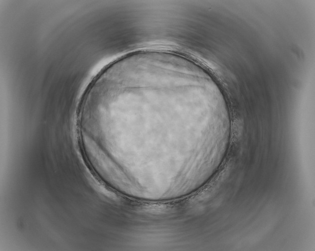 X0000113051470200909241445