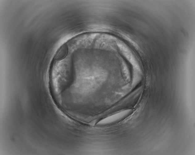 X0000113051471200909241445