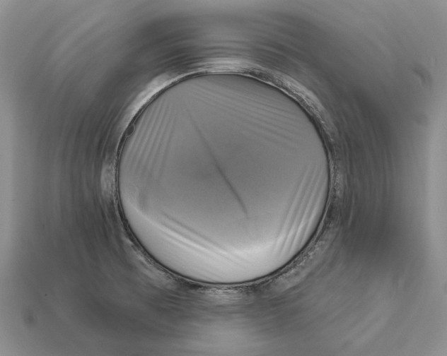 X0000113051473200909241445