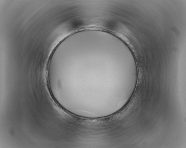 X0000113051474200909241445