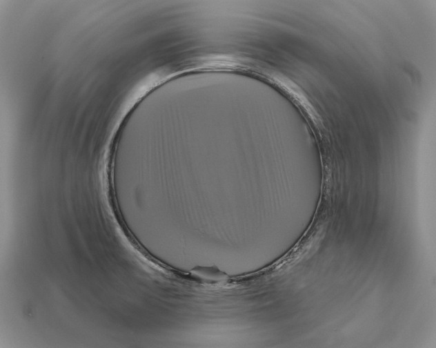 X0000113051475200909241445