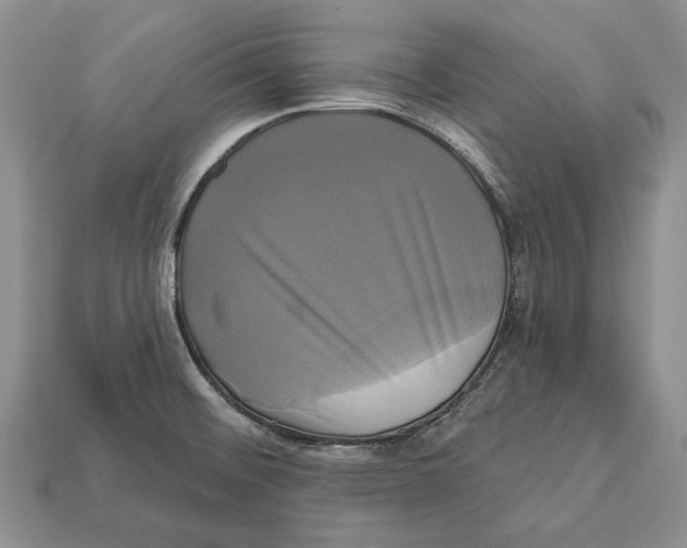 X0000113051476200909241445