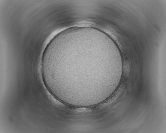 X0000113051478200909241445