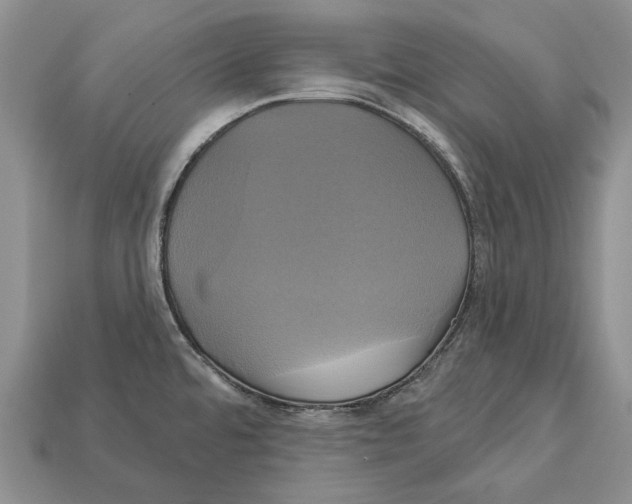 X0000113051480200909241445