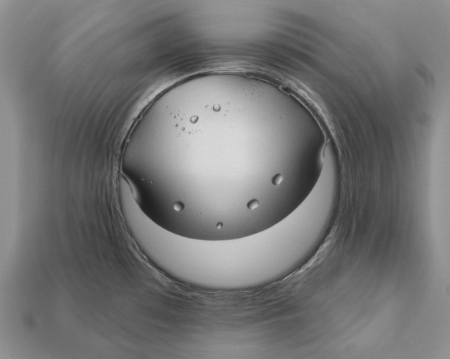X0000113051481200909241445