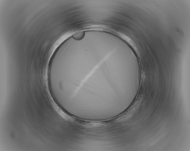 X0000113051482200909241445