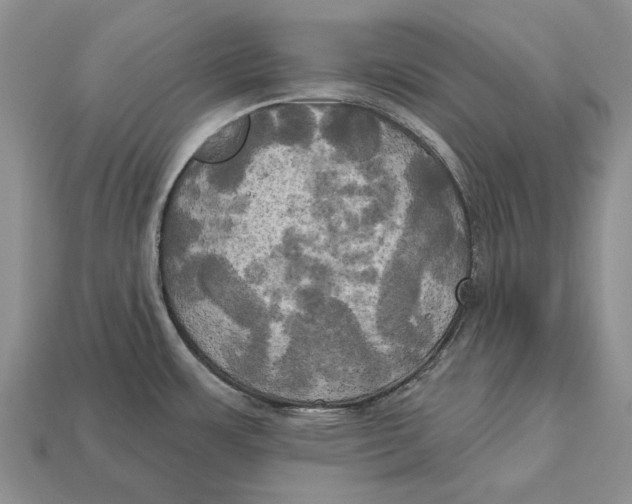 X0000113051483200909241445