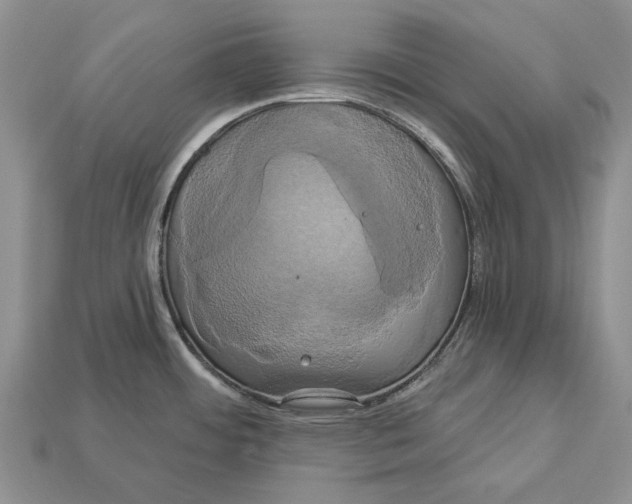 X0000113051484200909241445