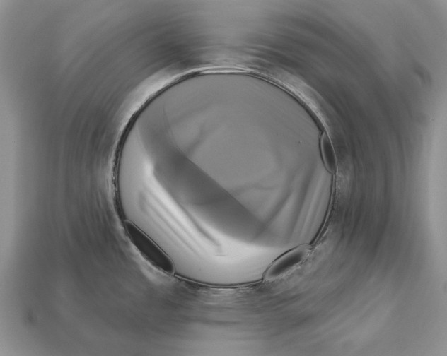 X0000113051485200909241445