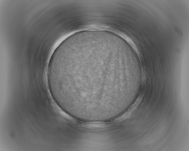 X0000113051486200909241445