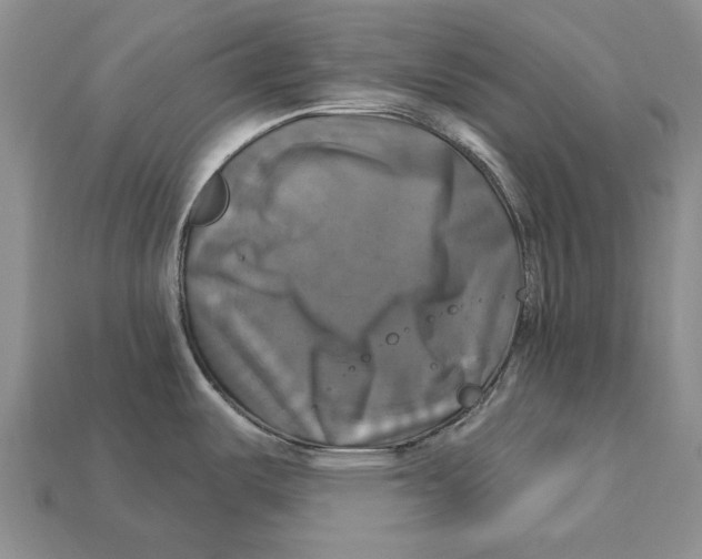 X0000113051487200909241445