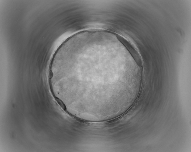 X0000113051488200909241445
