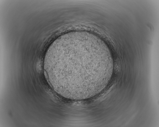 X0000113051490200909241444