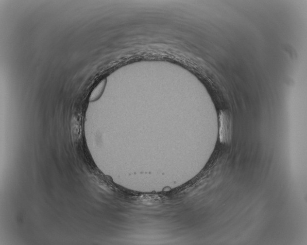 X0000113051491200909241444
