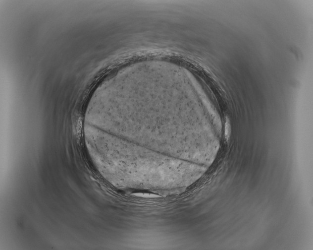 X0000113051492200909241444