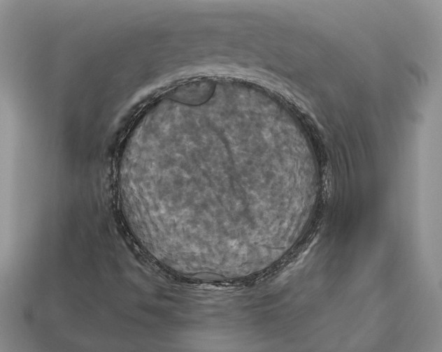 X0000113051494200909241444