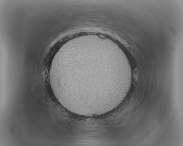 X0000113051495200909241444