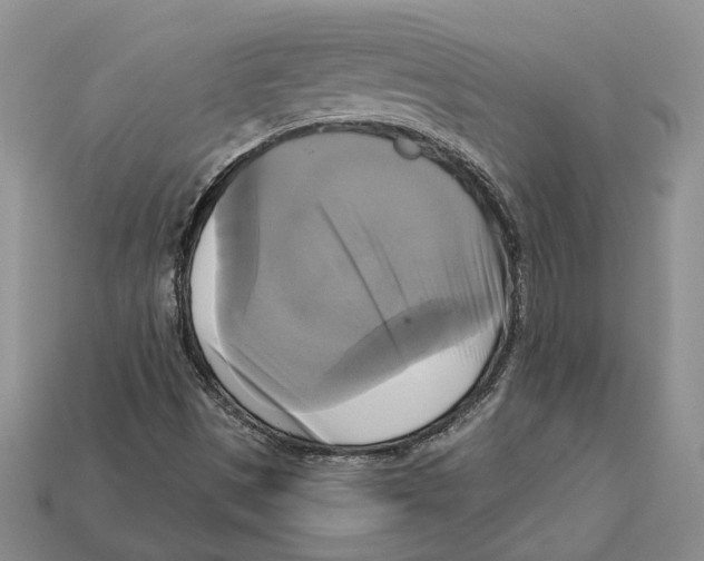 X0000113051497200909241444