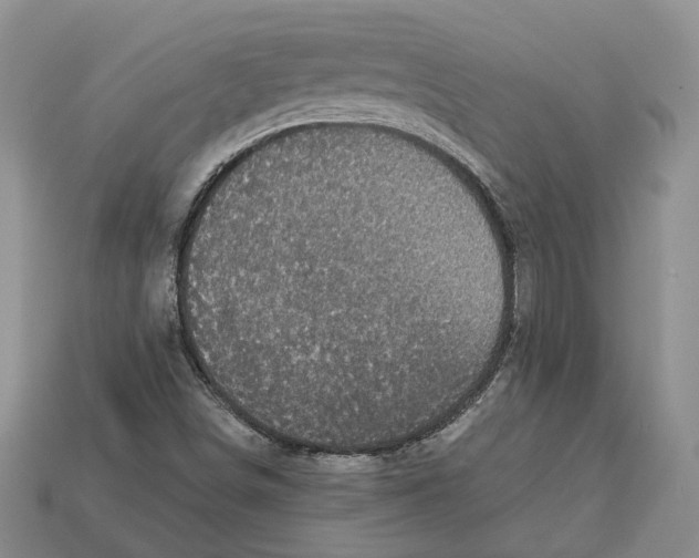 X0000113051498200909241444
