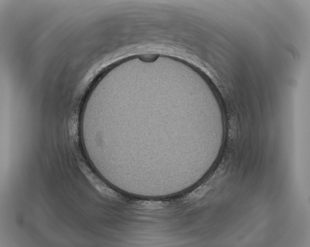 X0000113051499200909241444