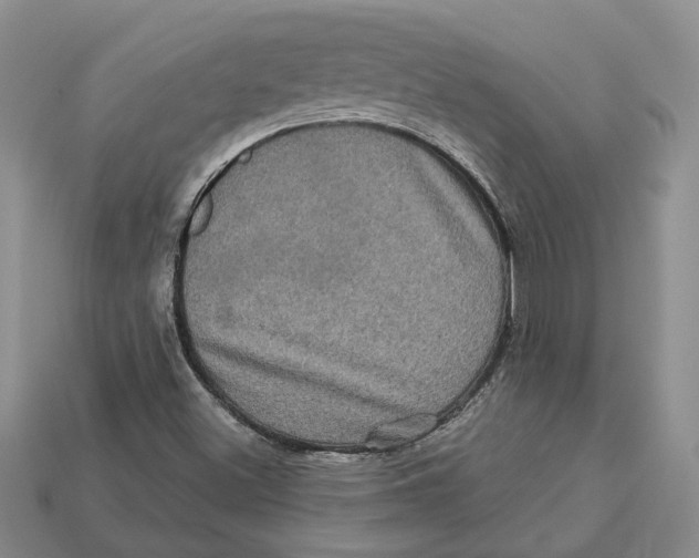 X0000113051500200909241444