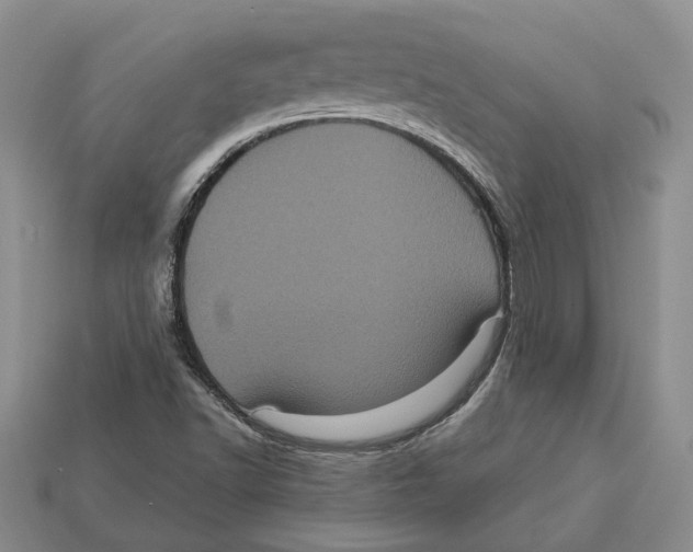 X0000113051502200909241444