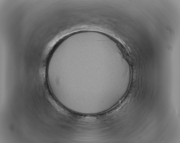 X0000113051503200909241444