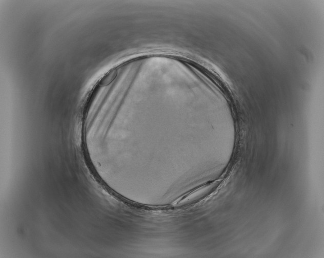 X0000113051504200909241444