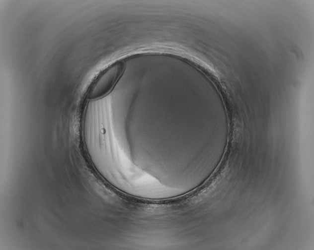 X0000113051506200909241444