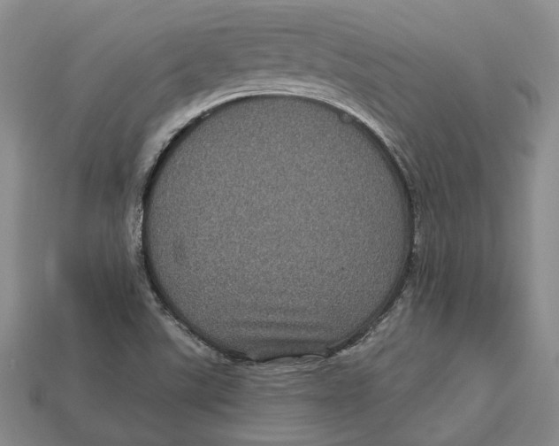 X0000113051507200909241444