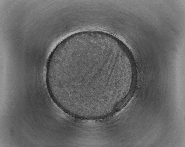 X0000113051508200909241444