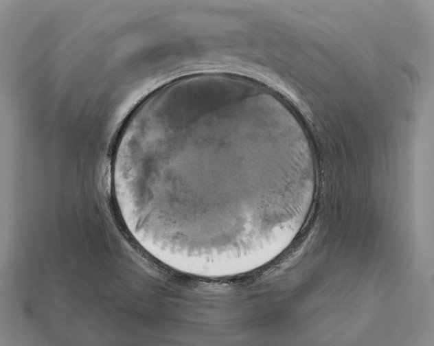 X0000113051509200909241444