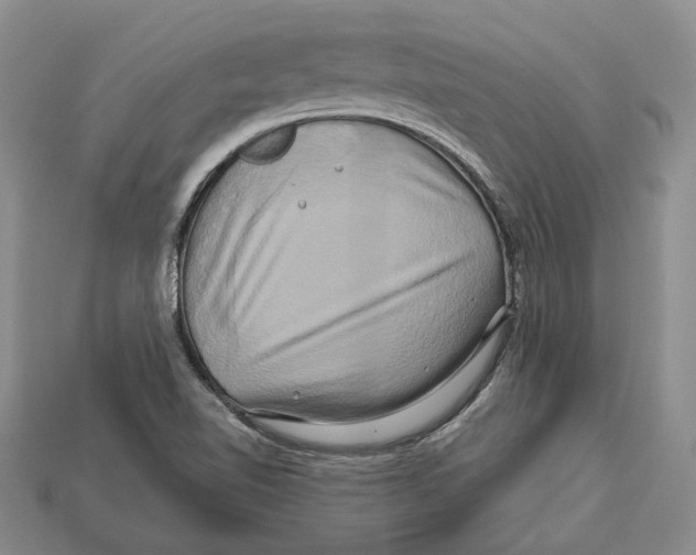 X0000113051510200909241444