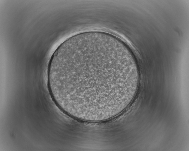 X0000113051512200909241444