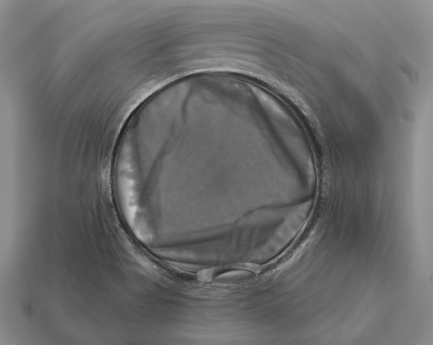 X0000113051513200909241444