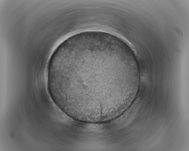 X0000113051514200909241444