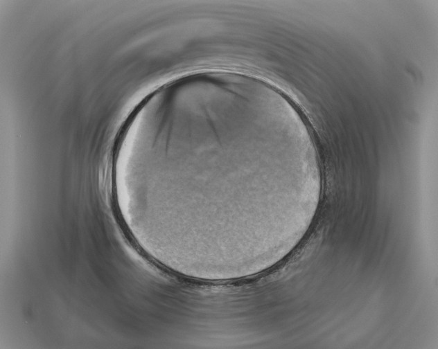 X0000113051515200909241444