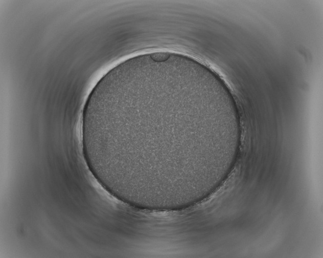 X0000113051516200909241444