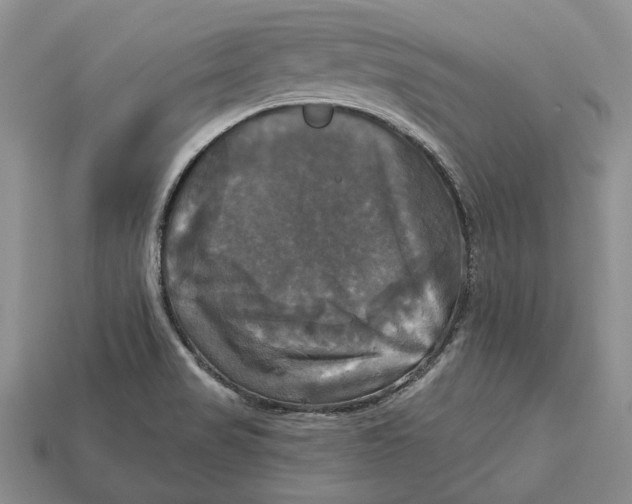 X0000113051517200909241444