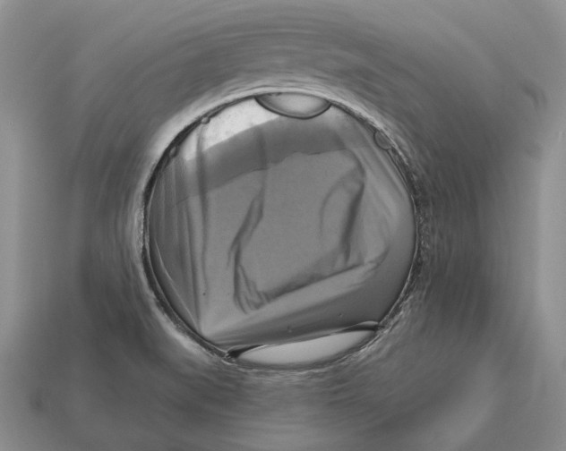 X0000113051519200909241444