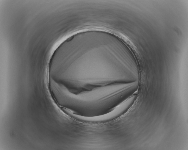 X0000113051520200909241444