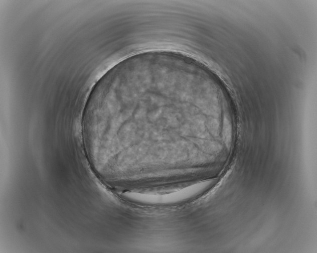 X0000113051521200909241444