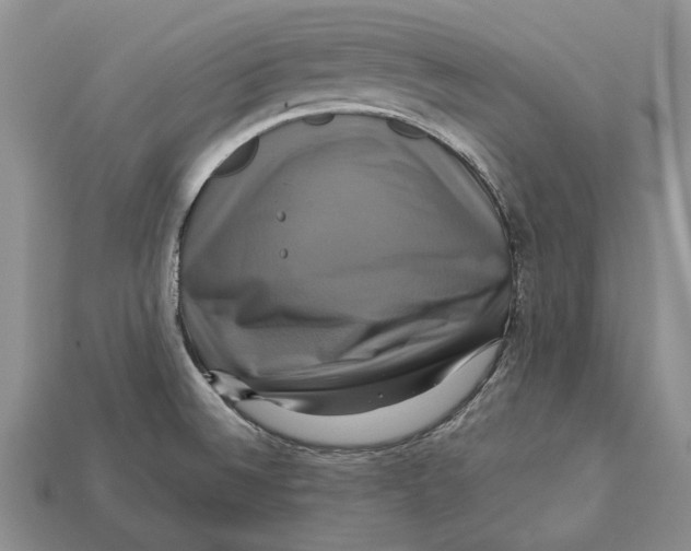 X0000113051524200909241444
