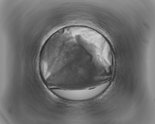 X0000113051525200909241444