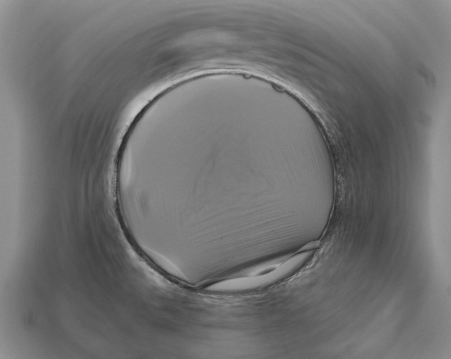 X0000113051527200909241444