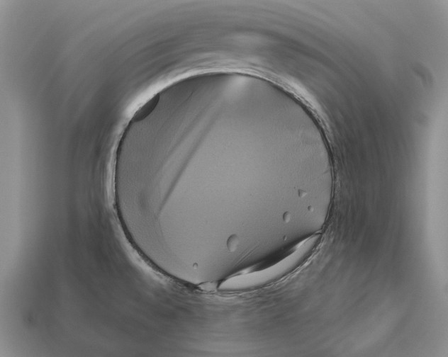 X0000113051528200909241444